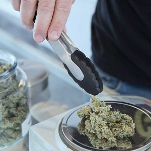 Understanding the Selection Process: How D.C.'s Weed Dispensaries Stock their Shelves