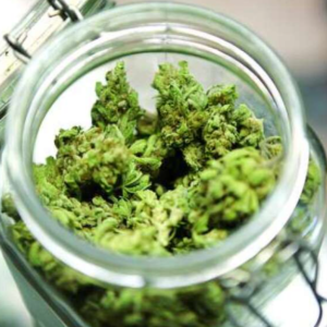 Explore Diverse Cannabis Products Through Online Dispensaries in Canada