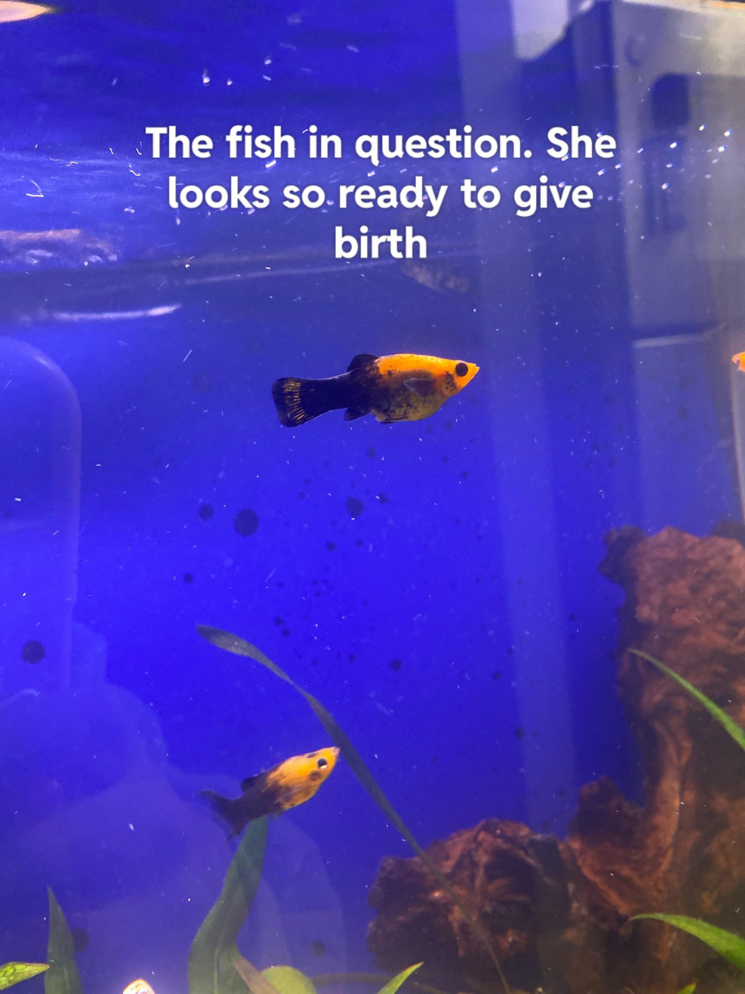 step-by-step-guide-record-returned-check-in-quickbooks-online