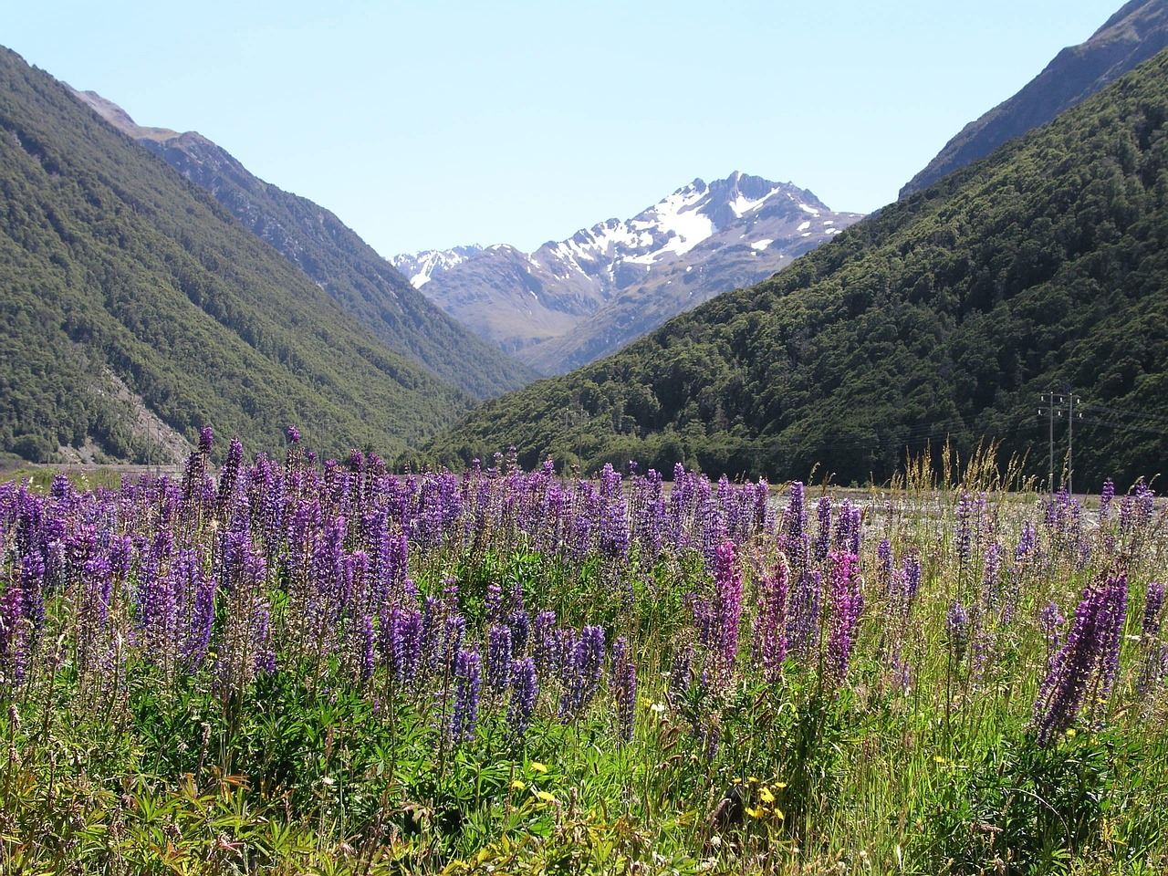 New zealand, new, zealand — Rejuvenate Your Life: The Incredible Benefits Of Spa Therapy