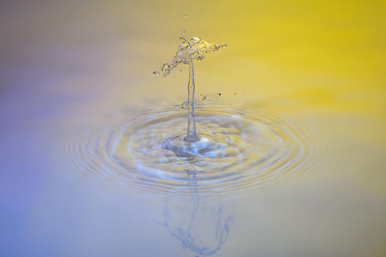 Drops, water, waterdrop — Toronto Escorts: The Key to an Unforgettable Experience