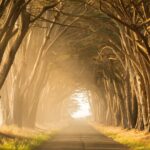 success through experience