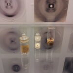 Rosalind Franklin DNA image